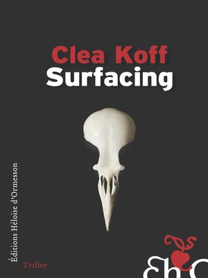 cover image of Surfacing